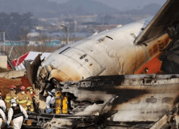 140 dari 179 Jenazah Kecelakaan Pesawat Jeju Air Berhasil Diidentifikasi
