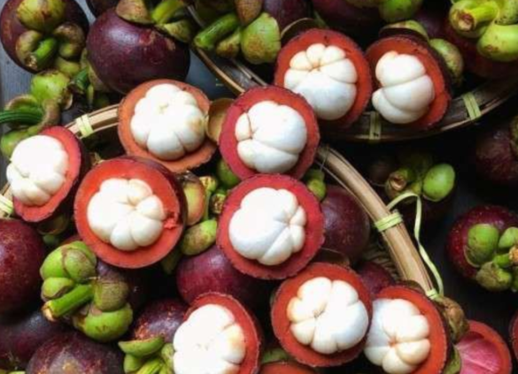 Tak Banyak Orang Tahu 8 Manfaat Buah Manggis Bagi Kesehatan